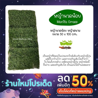 Green Galaxy ☘️  หญ้านวลน้อย Manila Grass หญ้าสนาม 50×100cm.หญ้าสด หญ้าจริงพร้อมปลูกจากไร่