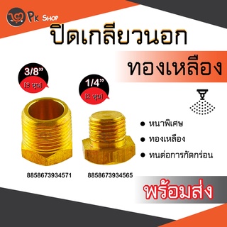 ข้อต่อทองเหลือง ข้อต่อประเภทปลั๊กอุดเกลียวนอก ปลั๊กอุดทองเหลืองตัวผู้ เกลียวนอก ตัวอุดเกลียวนอกทองเหลือง ปิดเกลียวนอก