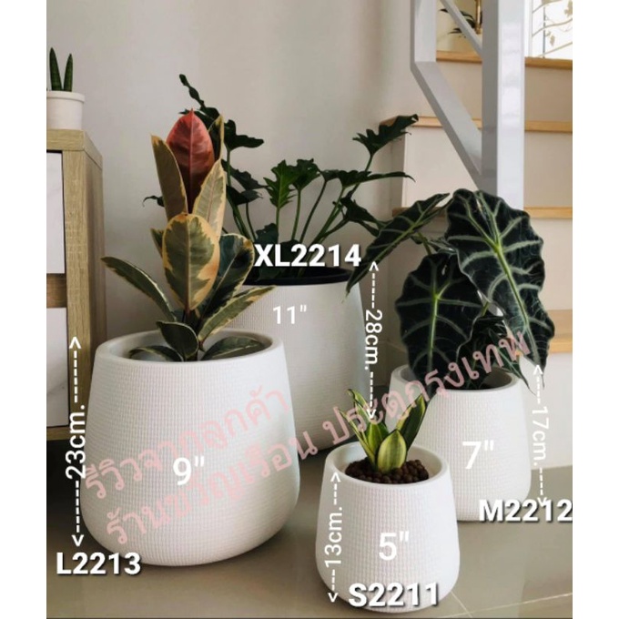🚀ส่งเร็ว🚀 กระถางมินิมอล‼ ของแท้ไร้รอยต่อ‼ กระถางโมเดิร์น กระถางเบลล่า มี4size มีจานรองในตัว วัสดุเป็นพลาสติกหนา คุณภาพดี