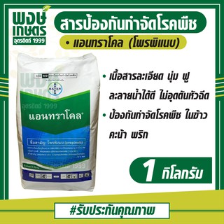 แอนทราโคล โพรพิเนบ (propineb)1 kg. สารป้องกันกำจัดโรคพืช ในข้าว คะน้า พริก เช่นใบจุดน้ำตาลในข้าว โรคราน้ำค้าง เชื้อราพืช