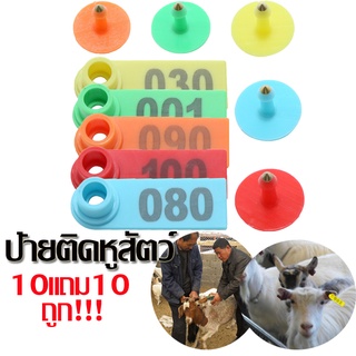 ซื้อ10แถม10🎁เบอร์หูแพะ แกะ สุกร แบบยาว ป้ายติดหูสัตว์ ป้ายเบอร์หู เบอร์หูทำประวัติสำหรับสัตว์ อุปกรณ์ฟาร์ม