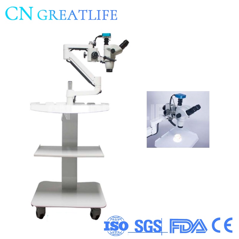 Dental Lab Equipment Hd Surgical Operation Root Canal Treatment Digital