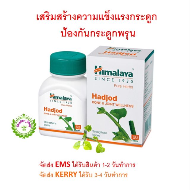 Himalaya Hadjod เสริมสร้างความแข็งแรงให้กระดูก