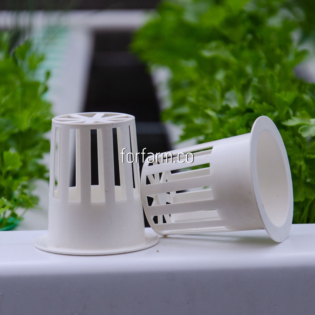 ถ้วยปลูกเมล่อนสีขาว แพ็ค 10 ใบ สำหรับเมล่อนระบบไฮโดรโปนิกส์ (Melon Hydroponics Pot)