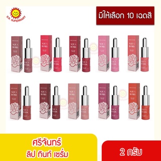 ศรีจันทร์ อควา บอมบ์ ลิป ทินท์ เซรั่ม 2 กรัม.SRICHAND Aqua Bomb Lip Tint Serum 2 g.