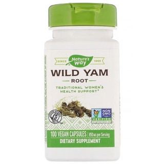 Wild Yam Root เสริมฮอร์โมนเพศหญิง มันเทศป่า