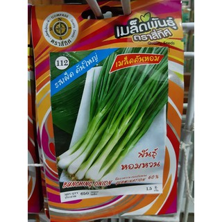 เมล็ดต้นหอม พันธุ์ หอมหวน 4 ทิศ 10 แถม 1 เมล็ดผัก เมล็ดพันธุ์ ตรา สี่ทิศ 4ทิศ หอมแบ่ง