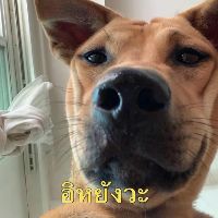 Profile ผู้ใช้งาน Shopee