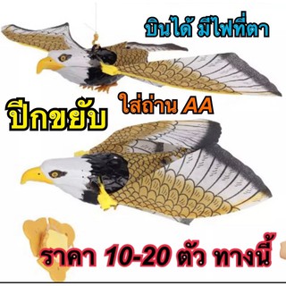 ขายส่ง ลังใหญ่ เหยี่ยวไล่นก บินได้ ปีกขนับ มีเสียงนก ตาสีแดง