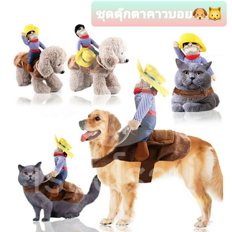 [VDOของร้านลดเพิ่ม] Sale เสื้อสุนัข เสื้อแมว ชุดตุ๊กตาคาวบอย สุดฮาแต่น่ารักนะ