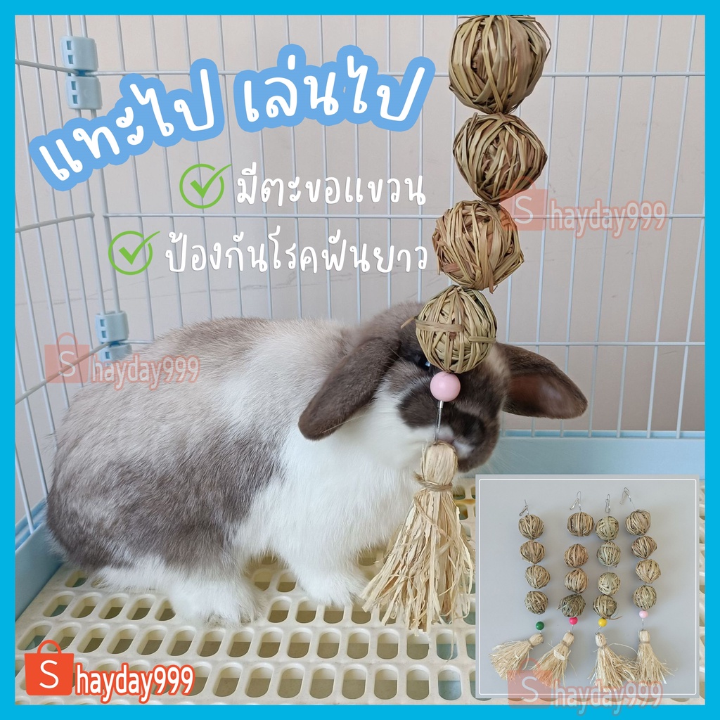 ลูกบอลหญ้า ||โมบายบอลหญ้า|| ของเล่นแขวนกรง ของเล่นลับฟัน โมบายลับฟัน ของเล่นกระต่ายและสัตว์ฟันแทะ - รูปที่ 2