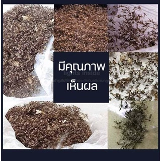 เครื่องดักยุง Electrical Mosquito Killer โคมไฟ ดักยุง โคมไฟดักยุง โคมดักยุง เครื่องช็อตยุง ที่ดักยุง
