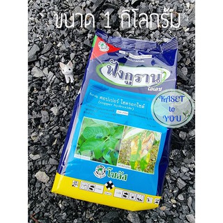 ฟังกูราน-โอเอช ขนาด1 กิโลกรัม สารป้องกันกำจัดโรคพืช เชื้อรา แบคทีเรีย โรคแคงเกอร์ โรคแอนแทรคโนส ราน้ำค้าง โรคเน่า