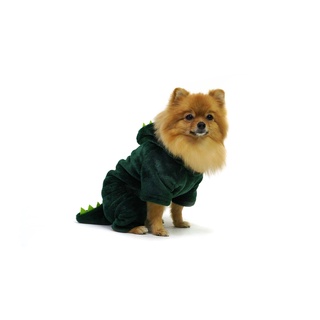 Pet dinosaur costume ชุดสุนัขไดโนเสาร์สีเขียว