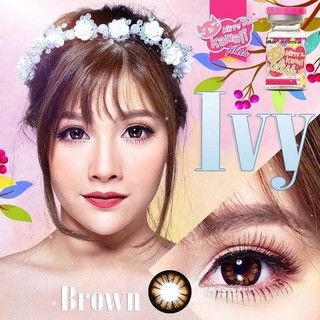 IVY Brown (1)(2) Kitty Kawaii บิ๊กอาย สีน้ำตาล น้ำตาล คอนแทคเลนส์ ตาโต เน้นขอบดำ แบ๊ว Contact lens แฟชั่น ค่าสายตา -4.25