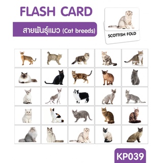 Flash card แมว (Cat breeds) จำนวน 25 ใบ ขนาด A5 kp 039