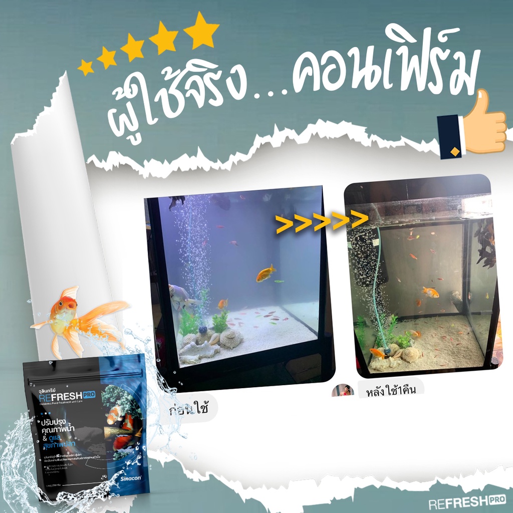 รูปภาพ 4