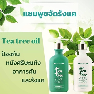 Tea tree vital cool ที ทรี ลีฟ ออยล์ เปเปอร์มินต์ ออยล์ และ ยูคาลิปตัส แอ็กซ์แทรค(2ชิ้น แชมพู+ครีมนวด)