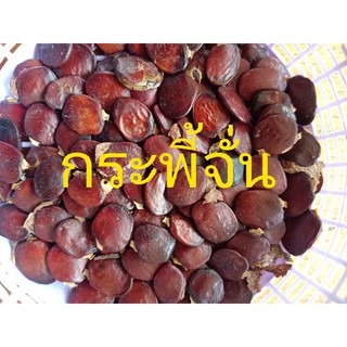 เมล็ดพันธุ์กระพี้จั่น(50เม็ด/ซอง/129บาท)