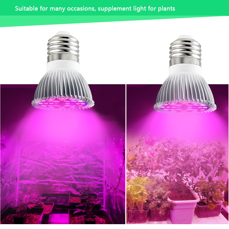 Adiodo LED Grow Light Full Spectrum 6W 10W 30W 50W 80W E27 หลอดไฟ LED ...