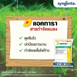 แอคทารา 100 ก.(ของแท้)(ไทอะมีทอกแซม) กำจัด เพลี้ยไฟ เพลี้ยแป้ง เพลี้ยไก่แจ้ เพลี้ยอ่อน ซินเจนทา