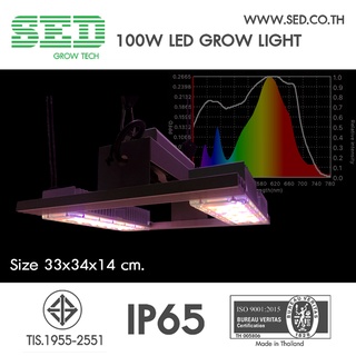 โคมไฟปลูกต้นไม้ ขนาด 100 วัตต์ SED Grow Light ( 100 W LED Grow Light ) เหมาะกับพืชกินใบ เช่นสลัด