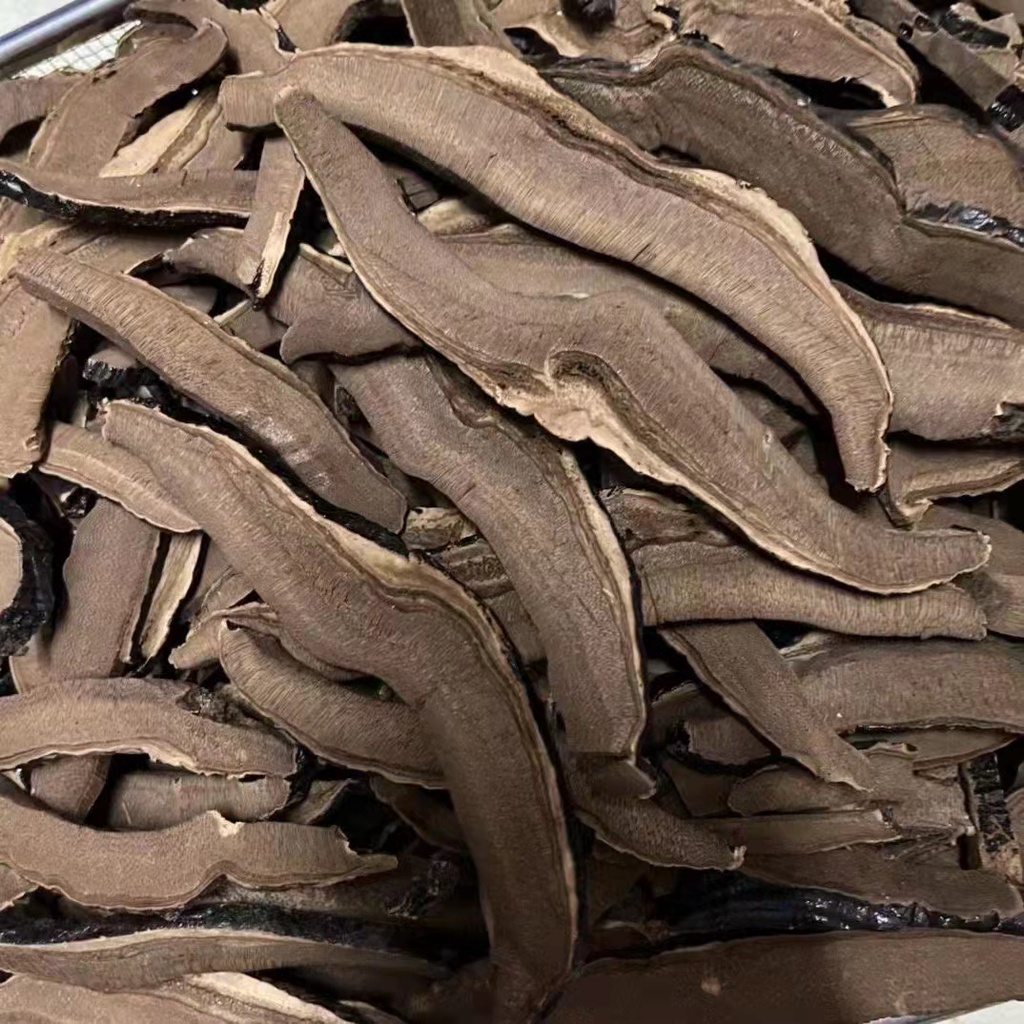 สดใหม่👍🏻เห็ดหลินจือดำ3AAA (黑灵芝) สมุนไพรจีนที่ขึ้นชื่อว่า "ยาอายุวัฒนะ" ที่สามารถรักษาโรคต่าง ๆ ได้อย