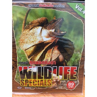 VCDสารคดี WILDLIFE SPECIALS สุดยอดกิ้งก่า (VCD3589-สุดยอดกิ้งก่า)