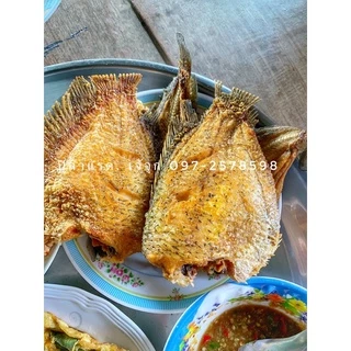 🐠ปลาแรดแดดเดียว ตัวอ้วนๆ 3-4 ตัว 1กิโล เนื้อแน่น เค็มน้อยจ้า