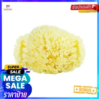 ฟองน้ำธรรมชาติ เบอร์ 12 BABY BEZTNATURAL SPONGE BABY BEZT NO.12