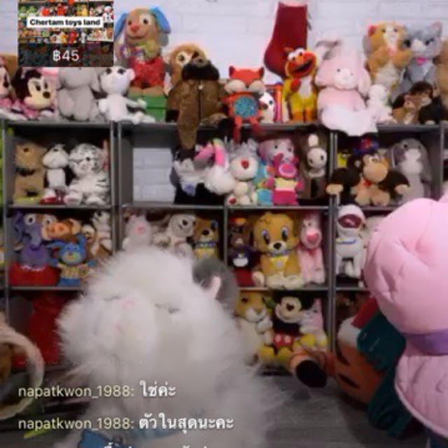 สินค้าจากไลฟ์สด - แมว Little Live Pets 6 รายการมือสอง