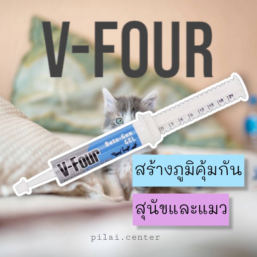 V-Four Beta-Gen Betagen Gel Dog Cat Supplement วีโฟร์ (สีฟ้า) อาหารเสริม ภูมิต้านทาน สร้างภูมิคุ้มกั