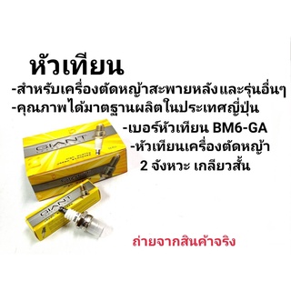 หัวเทียน เครื่องตัดหญ้าสะพายหลัง และรุ่นอื่น ๆ