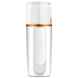 เครื่องเพิ่มความชื้นบนใบหน้า Heauty Instrument การชาร์จ Treasure Face Steamer Mini Nano Spray Moisturizer