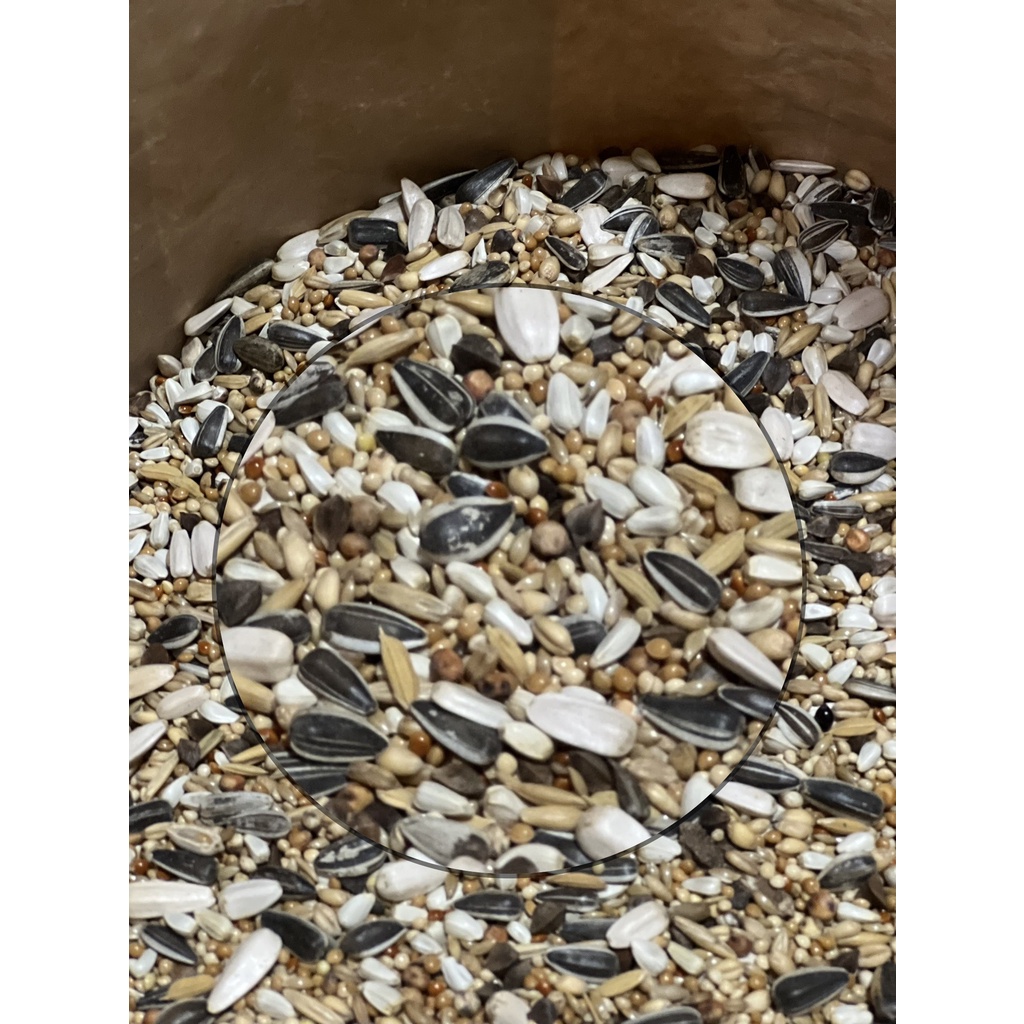 อาหารนก อาหารนกธัญพืช อาหารนก Witte Molen EXPERT Base Large Parakeets ...