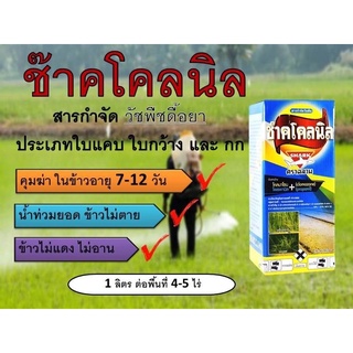 ซ๊าคโคลนิล(ขนาด1ลิตร)🌾🌾ยาคุม-ในนาหว่านน้ำตม