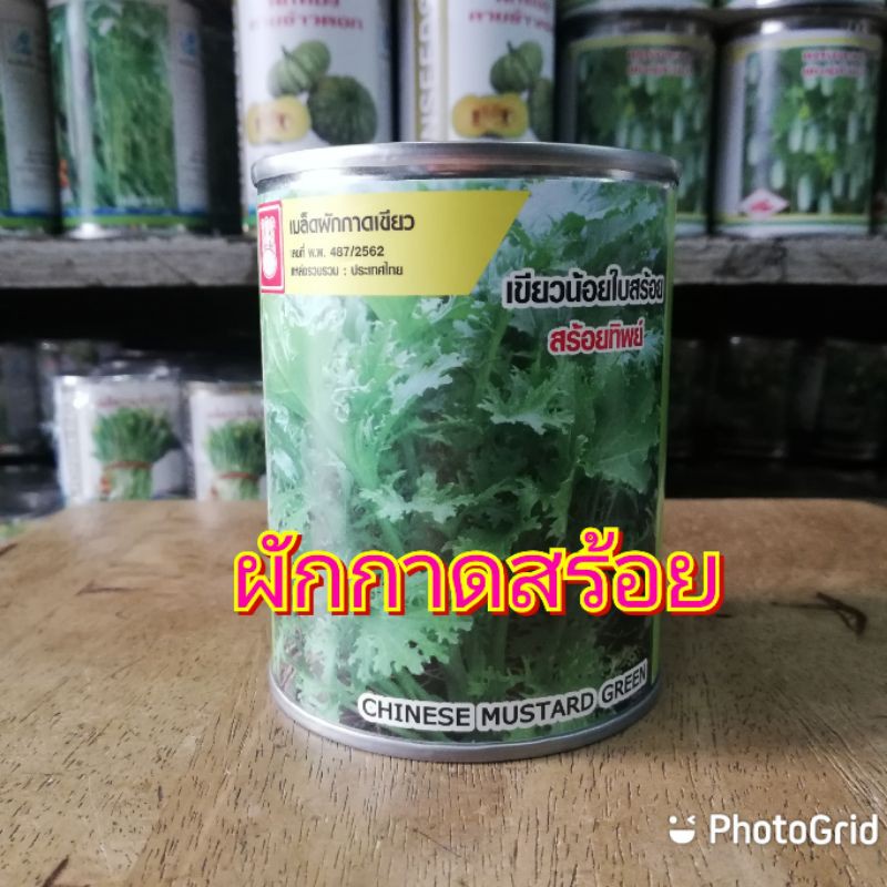 เมล็ดพันธ์ุผักกาดเขียวน้อยใบสร้อย น้ำเต้า ขนาด 80 กรัม