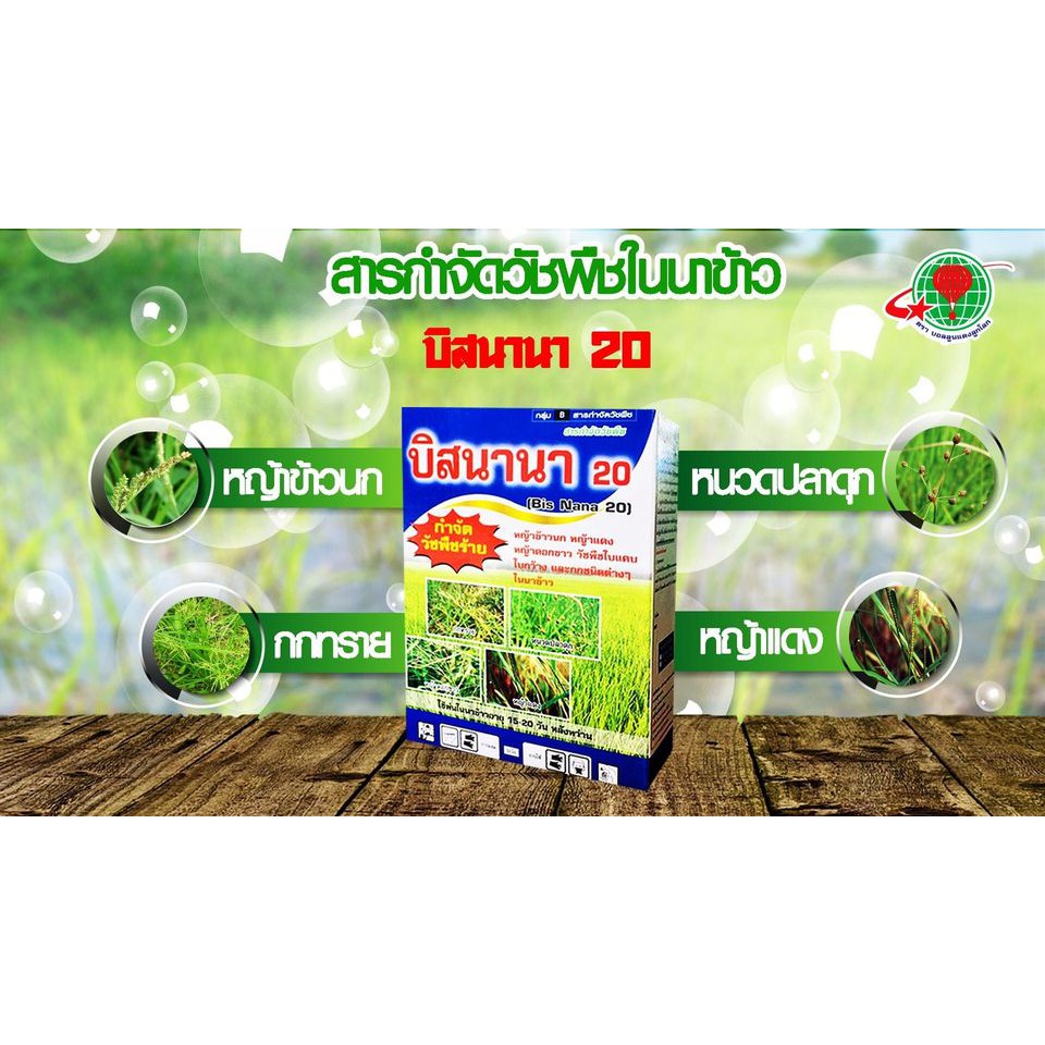 **บิสนานา**[1กล่อง10ซอง] บิสนานา ตัวแทน เบอร์กันดี บิสไพริแบก 100 g. นาข้าว หลัง 15 วัน ทั้งใบแคบใบกว้าง