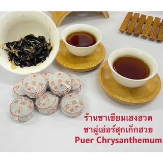 ชาผู่เอ่อร์สุกเก๊กฮวย菊花普洱熟茶Chrysanthemum&amp;Pu’er Tea