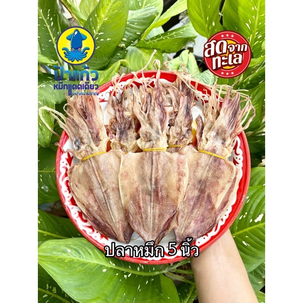 ปลาหมึกแห้ง 5 นิ้ว สดใหม่ทุกวัน ปลอดสารพิษ เนื้อหวานธรรมชาติ
