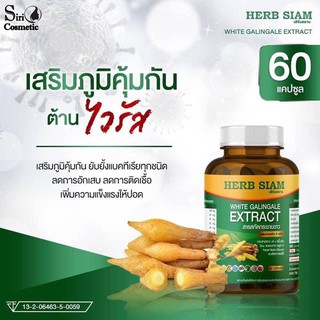 🌿พร้อมส่ง!! ผลิตภัณฑ์เสริมอาหาร ป้องกันไวรัส กระชายขาวสกัด ORI White Galingale Extract แท้ 100% (1 กระปุกมี 60 แคปซูล)