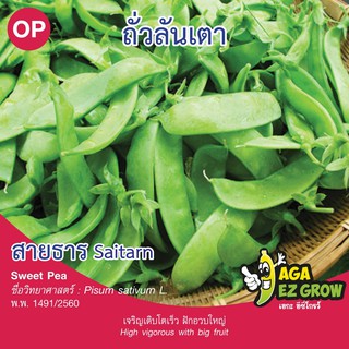 เมล็ดพันธุ์ ถั่วลันเตา สายธาร บรรจุ 5 กรัม [โปรโมชั่น ซื้อ10ซอง แถมฟรี 1ซอง]