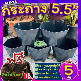 กระถาง 5 นิ้ว เซ็ต 5ใบ🌵แถมฟรี ดินใบก้ามปูหมัก 1กก. กระถางต้นไม้ กระถางพลาสติก แข็งแรงทนทาน