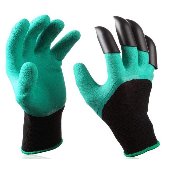 รูปภาพ 5