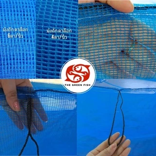 [ซื้อ2 ลด20] ส่งฟรี‼️ กระชังน้ำ มุ้งถัก 4ตา/6ตา🐠 สูง 1.5 และ 2 เมตร สินค้าคุณภาพ ผลิตจากโรงงานโดยตรง