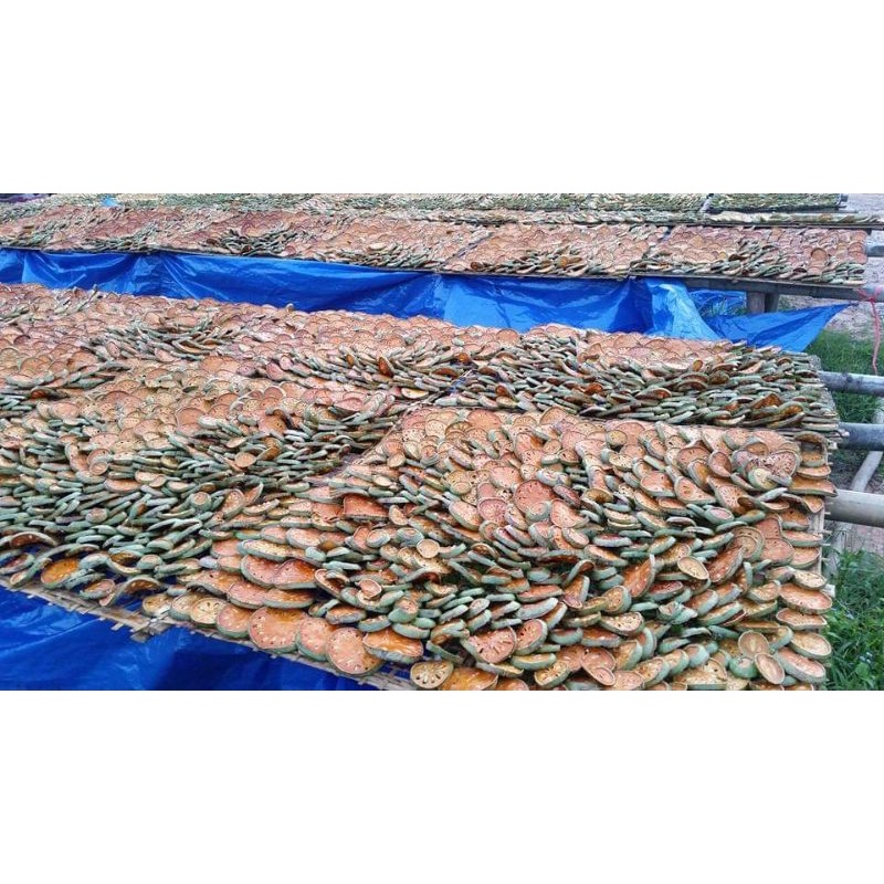 มะตูมอบแห้งพลังงานแสงอาทิตย์ 500กรัม อบแล้วหอมสามารถนำไปต้มได้เลยประโยชน์มากมาย - รูปที่ 3