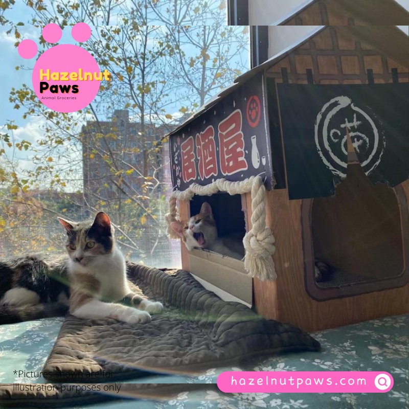 Bunglow Cat Cardboard Scratch House Box Luxury Rumah Kuching Cat Cardboard House with Scratcher Boar
