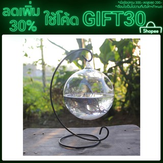 【โค้ด GIFT30 ลด 30%】ตู้ปลาทรงกลม แบบแขวน 15ซม.