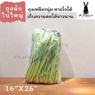 ถุงผักขนาดใหญ่ (แพค0.5กก.) เจาะรู ใส่ผัก ใส PE LLDP ผัก10กก. บรรจุผัก ผลไม้ ขายส่ง เหนียว นุ่ม