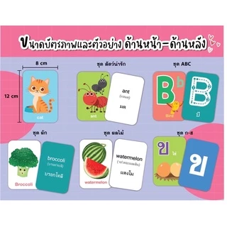 แฟลชการ์ด บัตรภาพคำศัพท์ flashcard #กขค #abc #ตัวเลข #สัตว์ #ผลไม้ #ผัก #ยานพาหนะ #สี